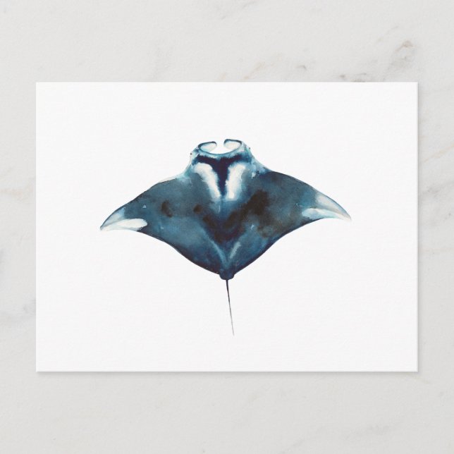 Carte postale de la raie manta océanique (Devant)