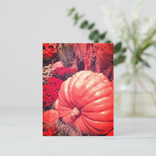 Carte postale de la récolte d'automne (Debout devant)