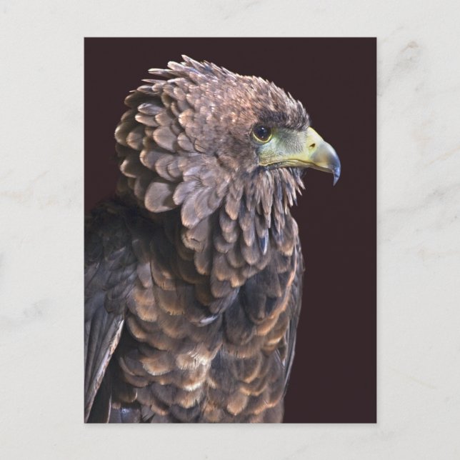 Carte postale de la Reine Alien (Devant)