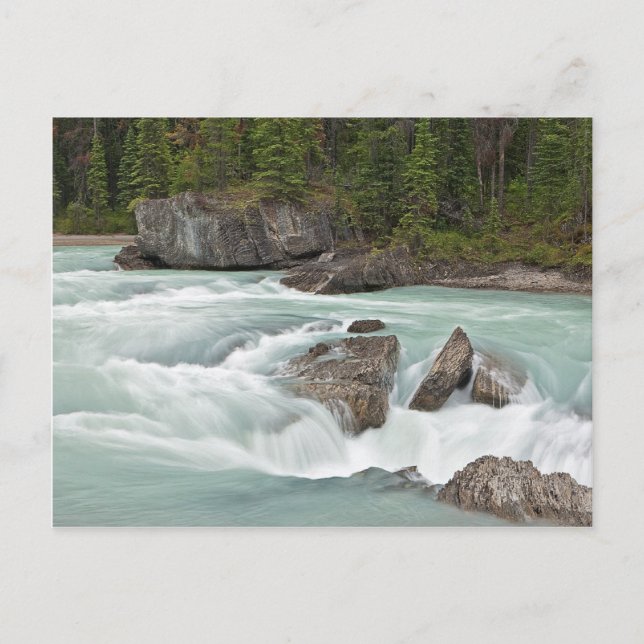 Carte postale de la rivière canadienne (Devant)