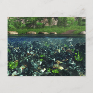 Carte postale de la rivière Cwm