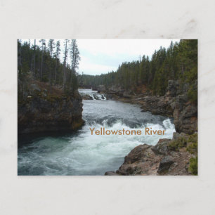 Carte postale de la rivière Yellowstone