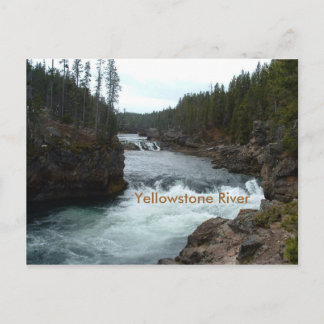 Carte postale de la rivière Yellowstone