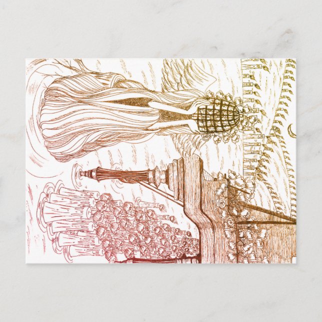 Carte postale de la rose de la cage à oiseaux (Devant)