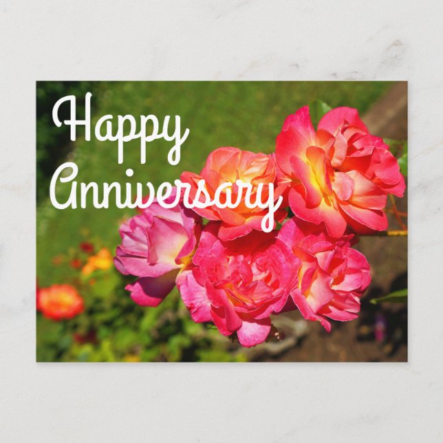 Carte postale de la rose Joseph's Coat #1 pour ann (Devant)