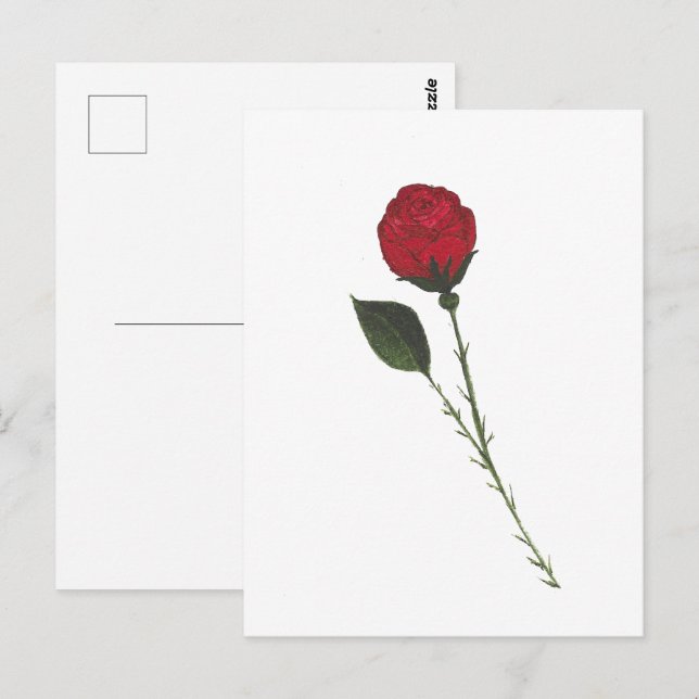 Carte postale de la rose rouge (Devant / Derrière)