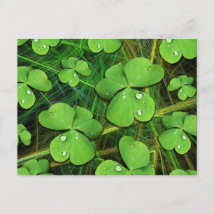 Carte postale de la Saint-Patrick, Shamrock verte