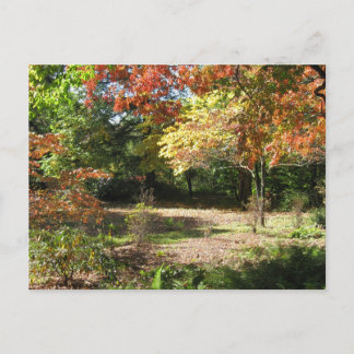 Carte postale de la scène d'automne