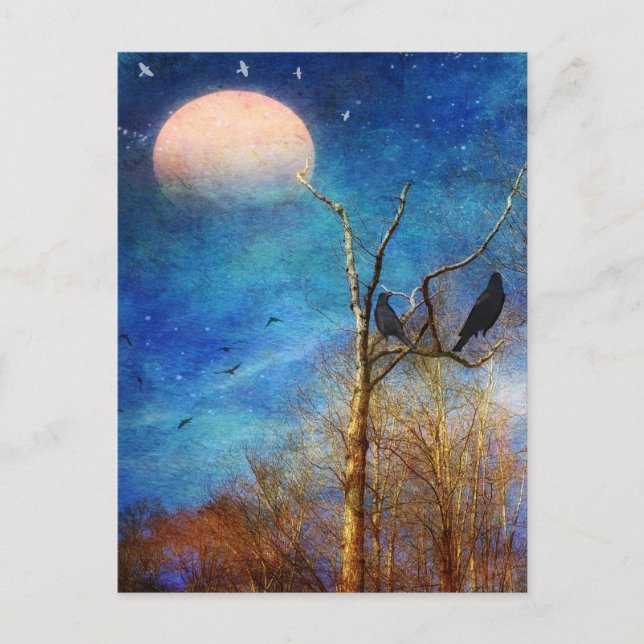 Carte postale de la scène de forêt lunaire (Devant)