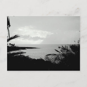 Carte postale de la scène de l'océan noir et blanc