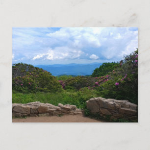 Carte postale de la source Blue Ridge Spring