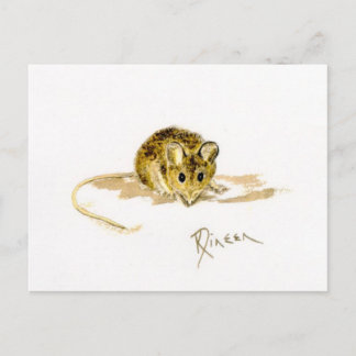 Carte postale de la souris