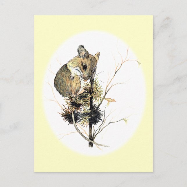 Carte postale de la souris (Devant)