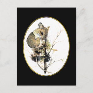 Carte postale de la souris 2