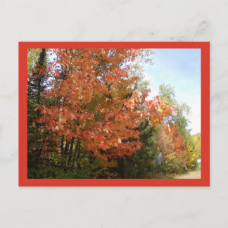Carte postale de la splendeur automnale Orange Fal