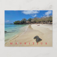 Carte postale de la vue de la plage de La Cuvette 