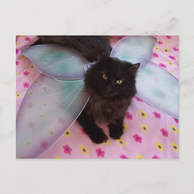 carte postale de l'aile bleue (Devant)