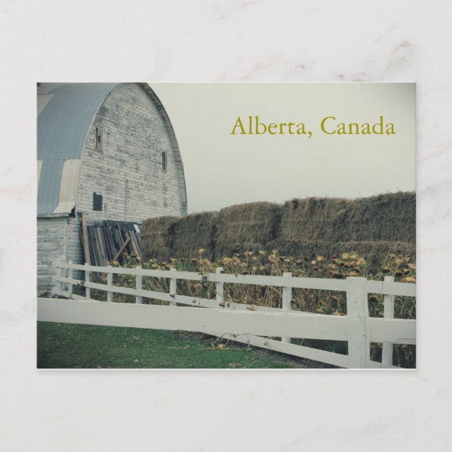 Carte postale de l'Alberta rural (Devant)