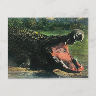 Carte postale de l'alligator mangeur d'hommes affa