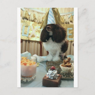 Carte postale de l'anniversaire de caniche