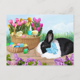 Carte postale de lapin de panier de Pâques