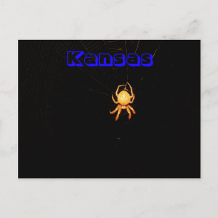 Carte postale de l'araignée tisserande de Kansas
