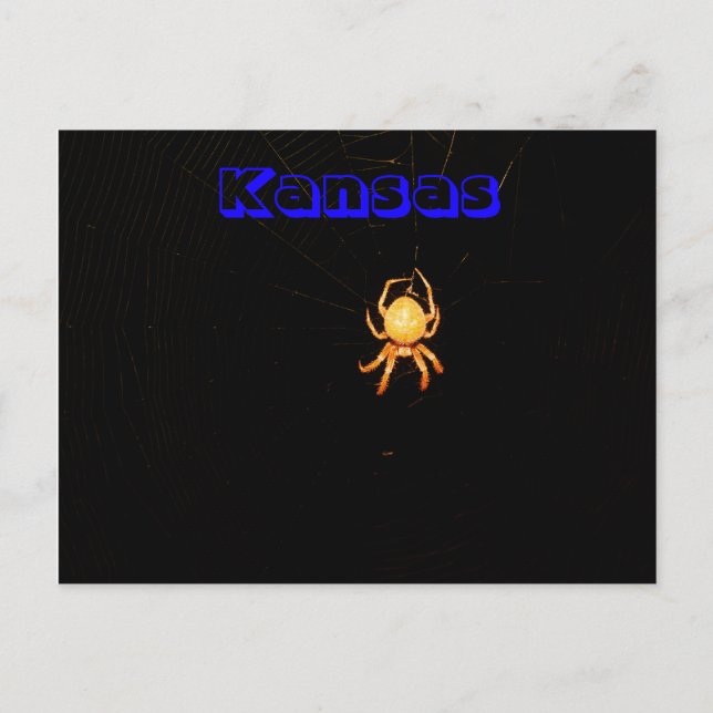 Carte postale de l'araignée tisserande de Kansas (Devant)