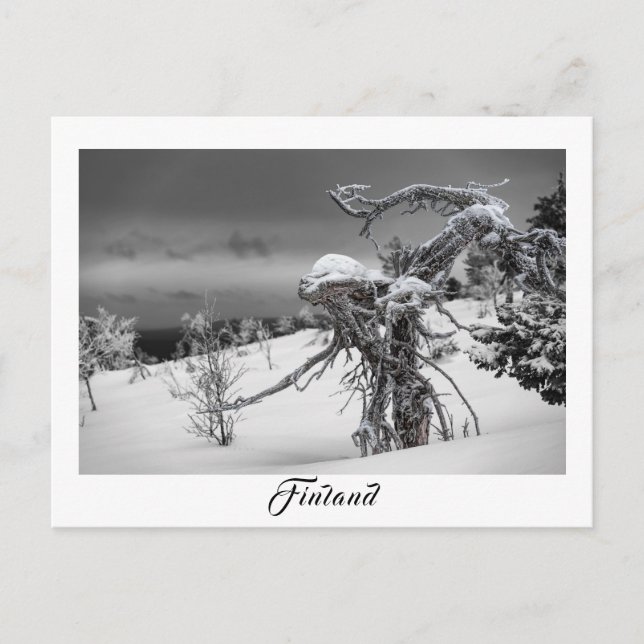 Carte postale de l'arbre alien finlandais (Devant)