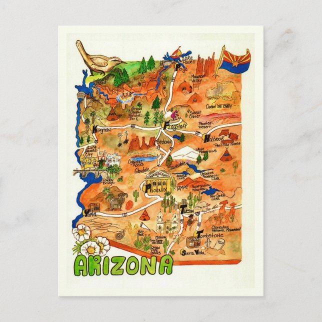 Carte postale de l'Arizona illustrée de manière co (Devant)