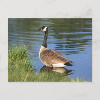 Carte postale de l'art animal d'oie du Canada