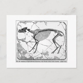 Carte postale de l'art du venticolum Hyracotherium