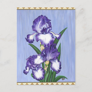 Carte postale de l'artisan Purple Iris