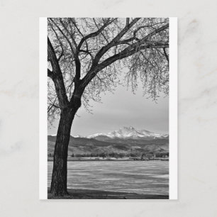 Carte Postale De l'autre côté du lac en noir et blanc