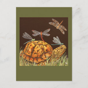 carte postale de l'école de tortues