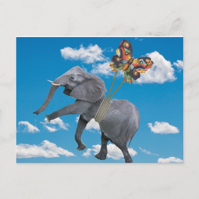 Carte postale de l'éléphant et du papillon 'Allége (Devant)