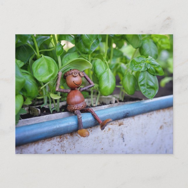 Carte postale de l'Elfe Gland avec des plants de B (Devant)