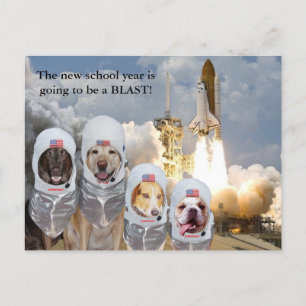 Carte postale de l'enseignant des chiens astronaut