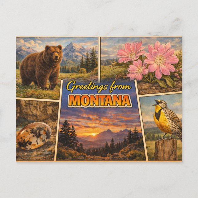 Carte postale de l'État du Montana (Devant)