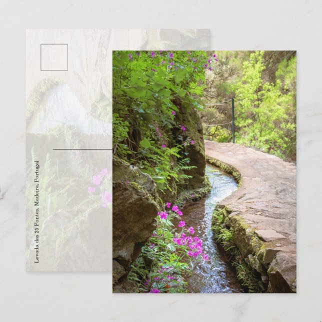 Carte postale de Levada das 25 Fontes à Madère (Devant / Derrière)