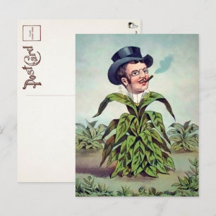 Carte postale de l'homme à la plante victorien 