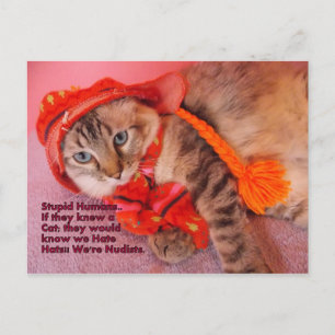 carte postale de l'humour humain stupide