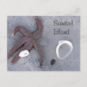 Carte postale de l'île Sanibel Starfish et Shell