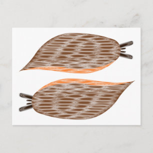 Carte postale de limaces
