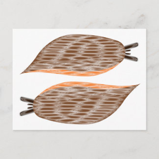 Carte postale de limaces
