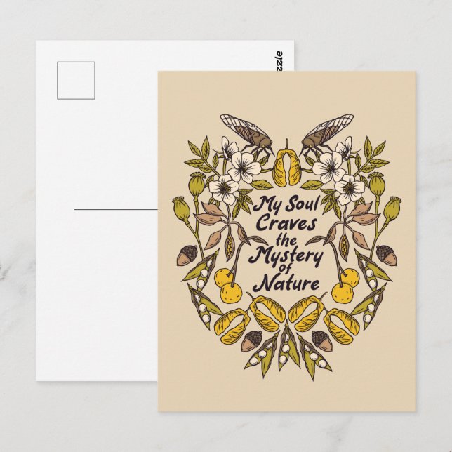 Carte postale de l'Insecte de la nature (Devant / Derrière)