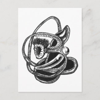 Carte Postale De l'intérieur