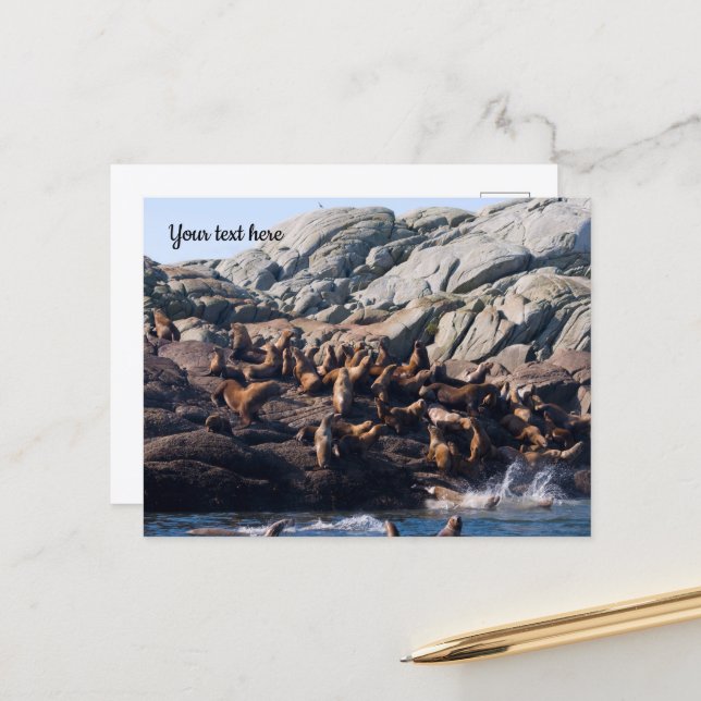 Carte postale de lion de mer (Devant/Arrière en situation)