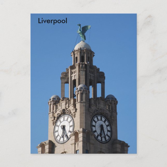 Carte postale de Liver Bird (Devant)