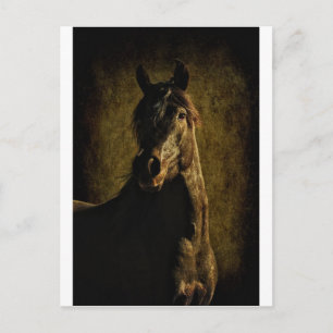 Carte Postale De l'obscurité