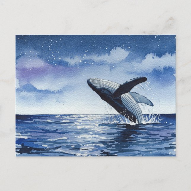Carte postale de l'océan des baleines (Devant)